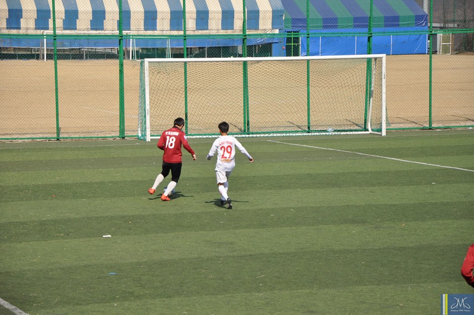 U17 HAGL, U17 HAGL thua, U17 HAGL tap huan, Hàn Quốc, HLV Graechen