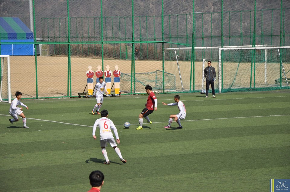 U17 HAGL, U17 HAGL thua, U17 HAGL tap huan, Hàn Quốc, HLV Graechen