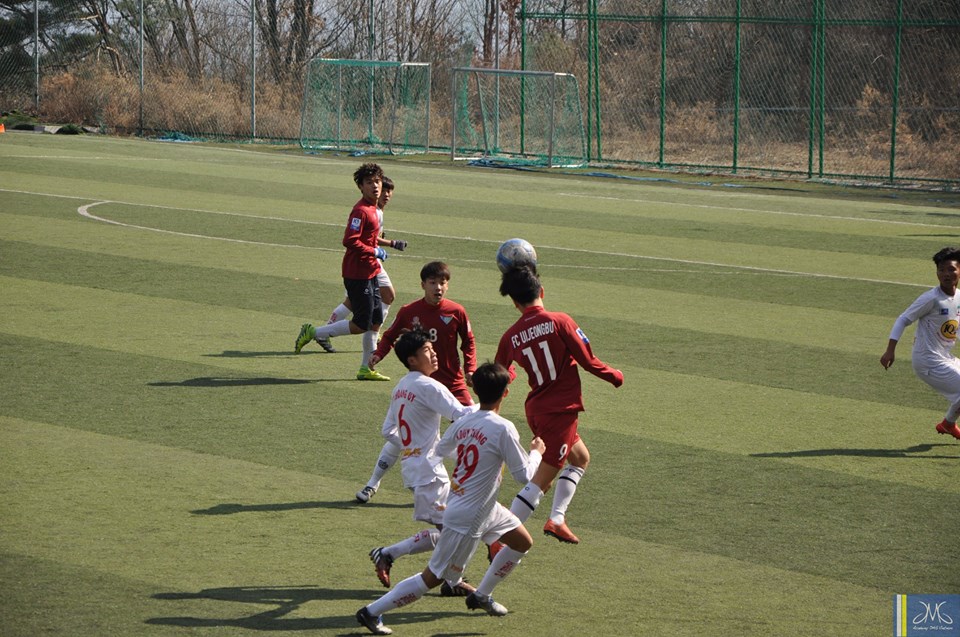 U17 HAGL, U17 HAGL thua, U17 HAGL tap huan, Hàn Quốc, HLV Graechen