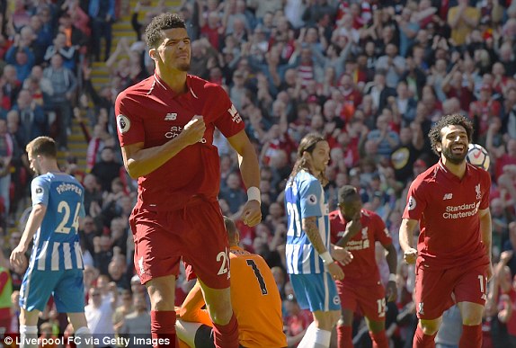truc tiep liverpool vs brighton, liverpool vs brighton, vong 38 ngoai hang anh, ngoai hang anh, champions league