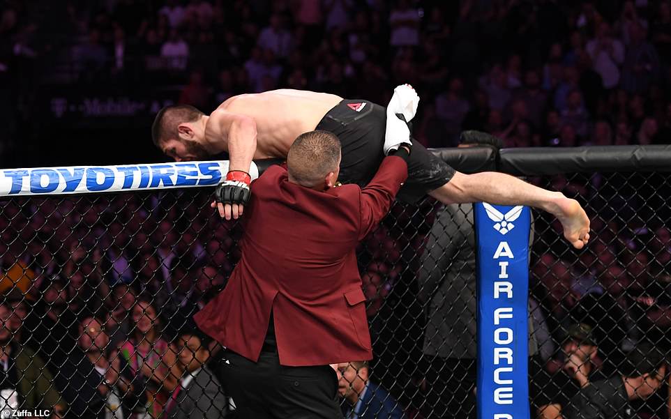 khabib vs mcgregor, ufc, tranh đai ufc, khabib