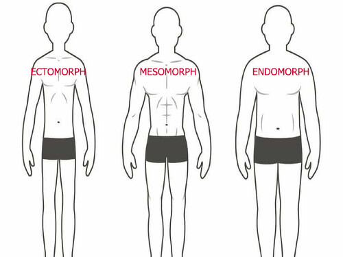 giảm cân, giảm cân cho từng cơ địa, phương pháp giảm cân