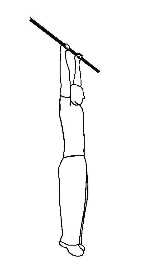 cách tập calisthenics
