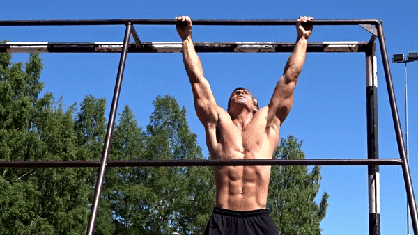 calisthenics bodyweight training