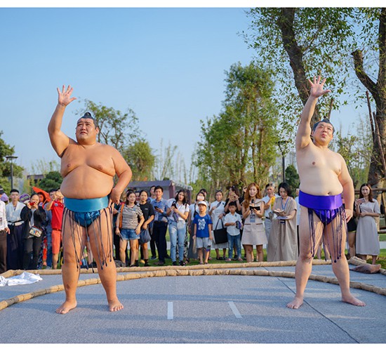 vo si sumo