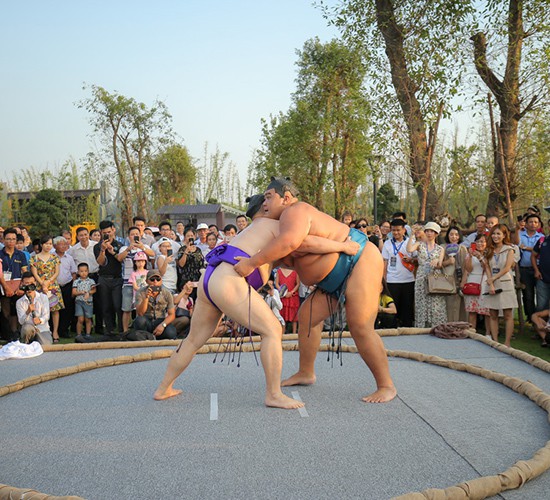 sumo nhat ban
