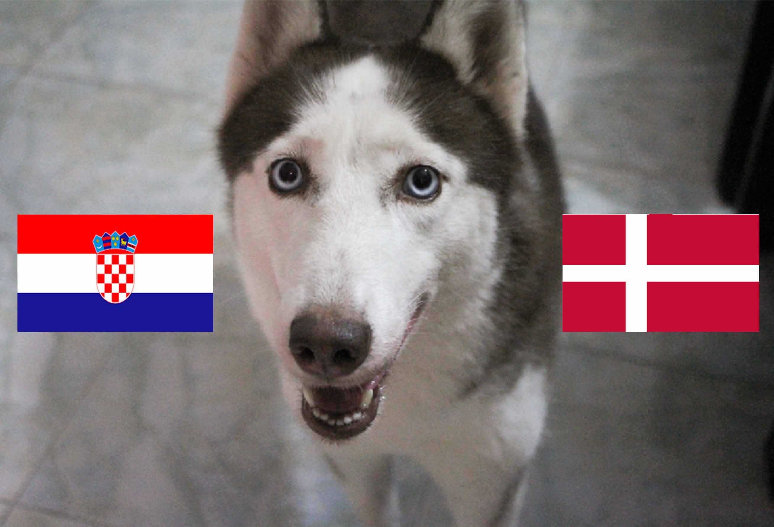 cho tien tri Loki du doan Croatia se thua Dan Mach