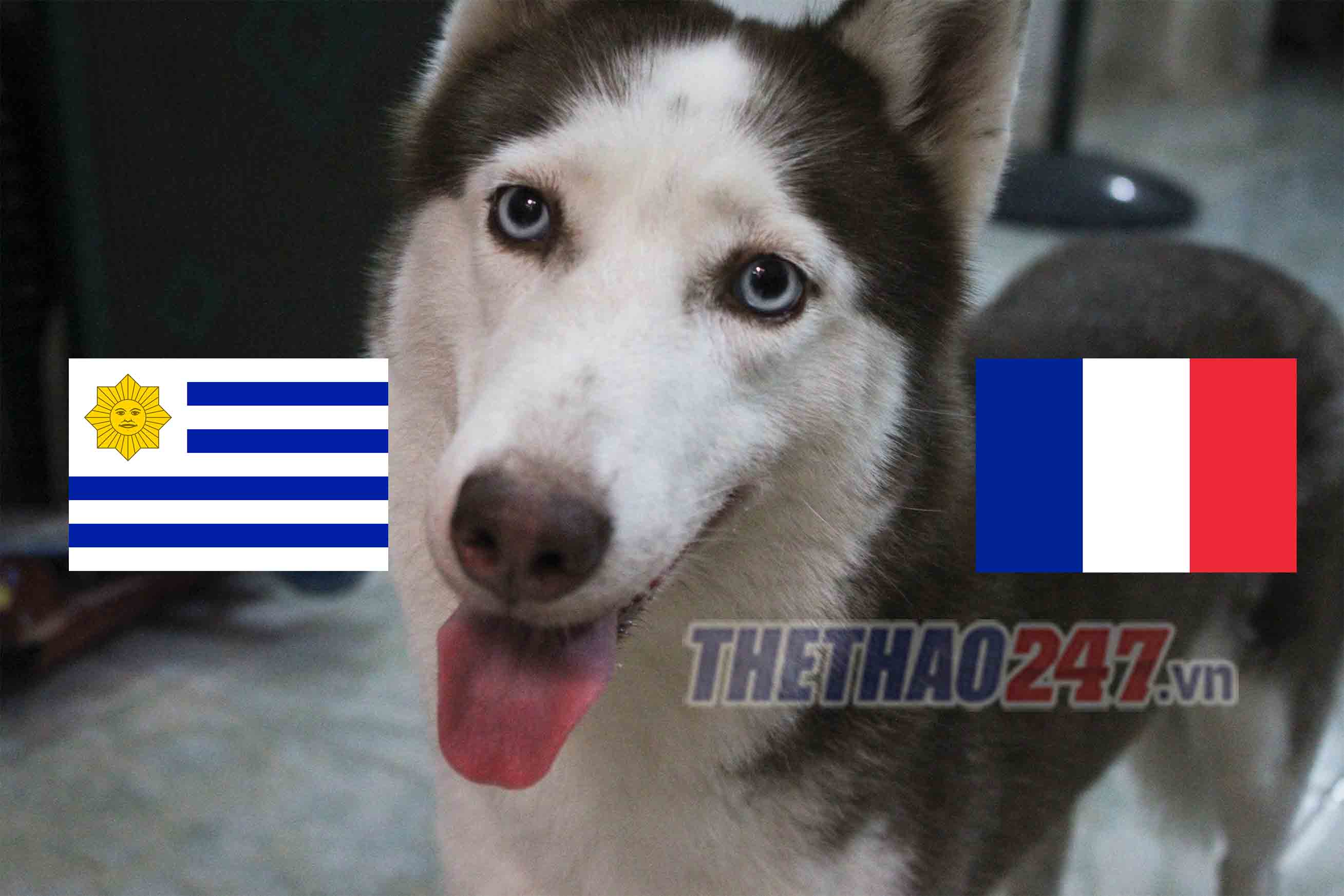 cho tien tri Loki du doan ket qua tu ket World Cup