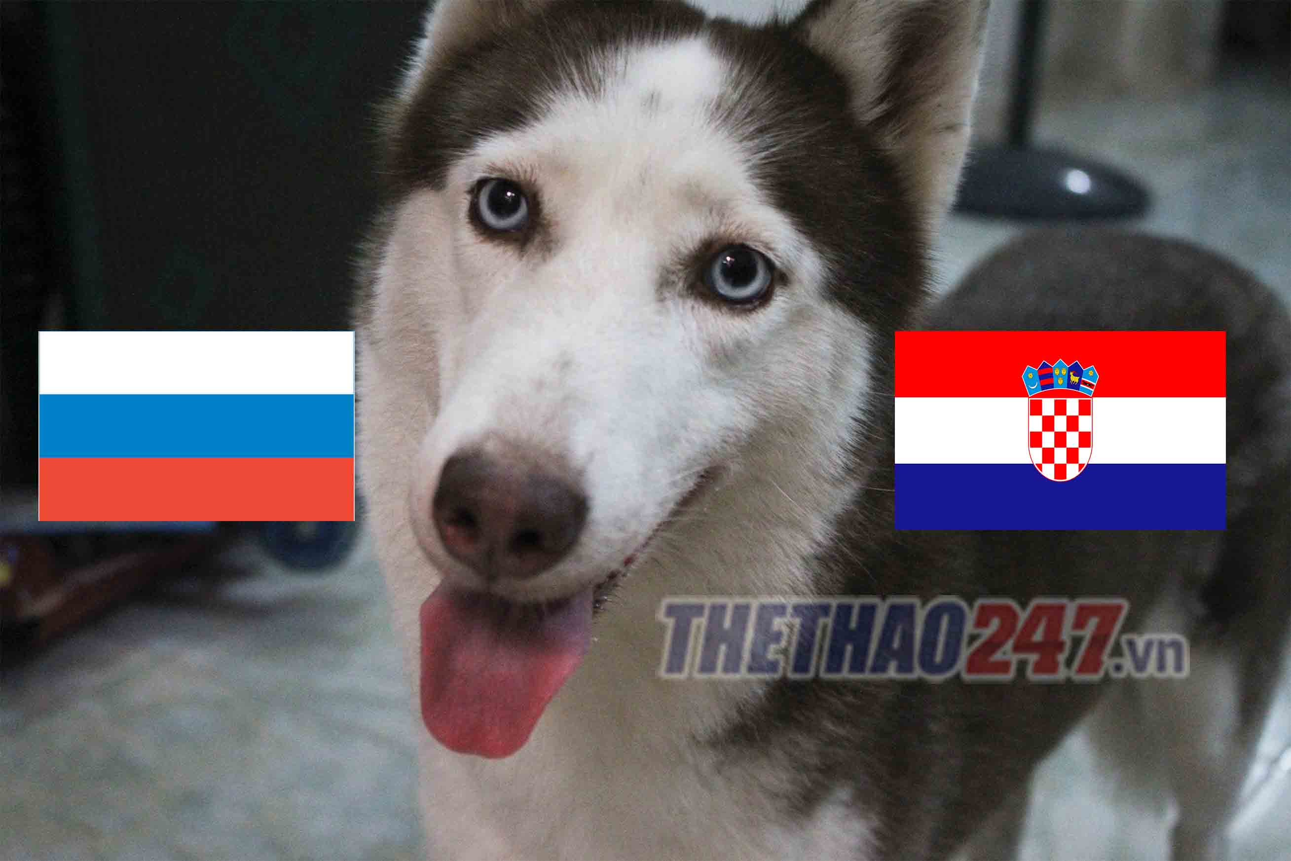 cho tien tri Loki du doan ket qua Nga vs Croatia