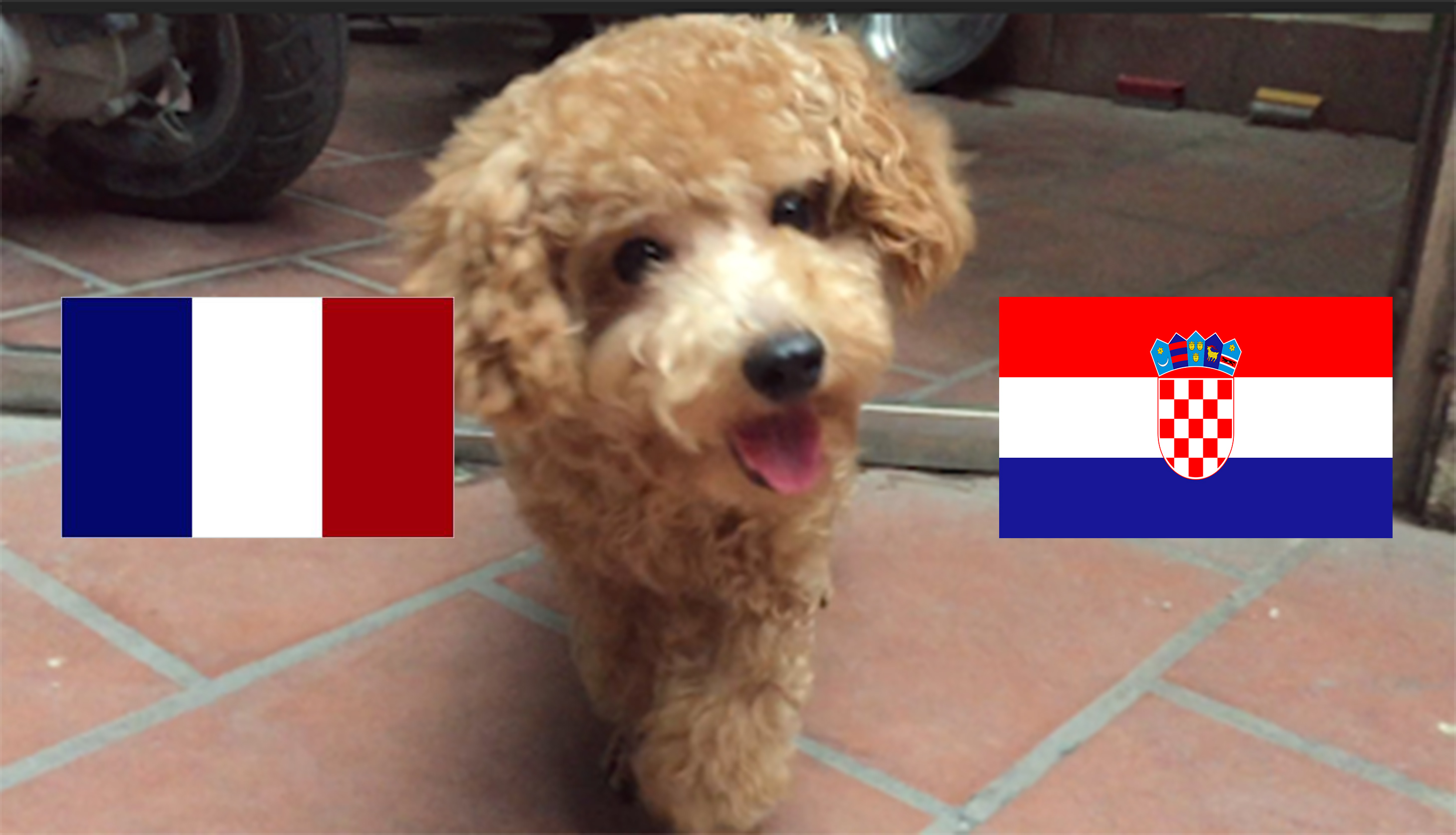 cho tien tri Hulk du doan chung ket World Cup: Phap vs Croatia
