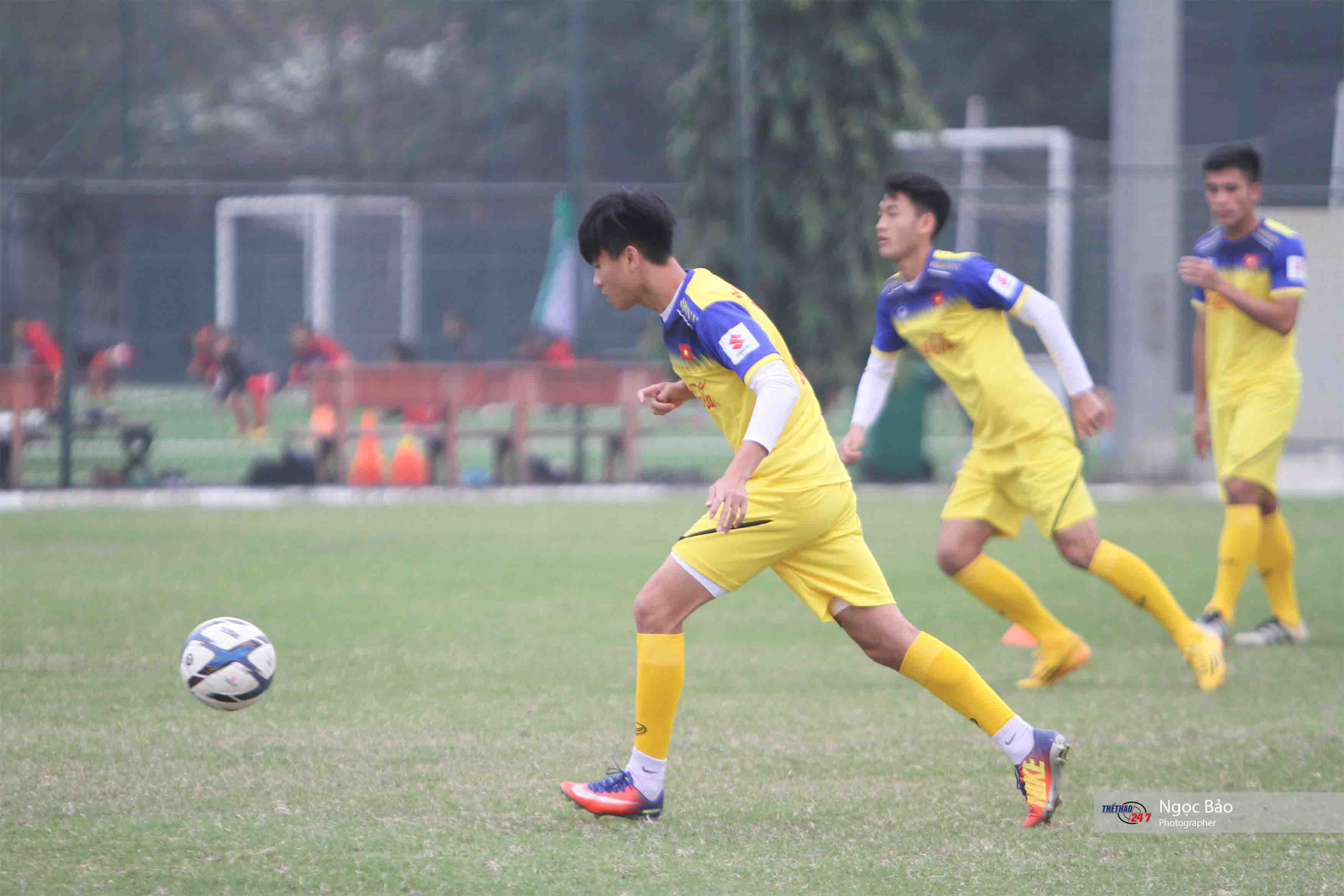 thanh hau