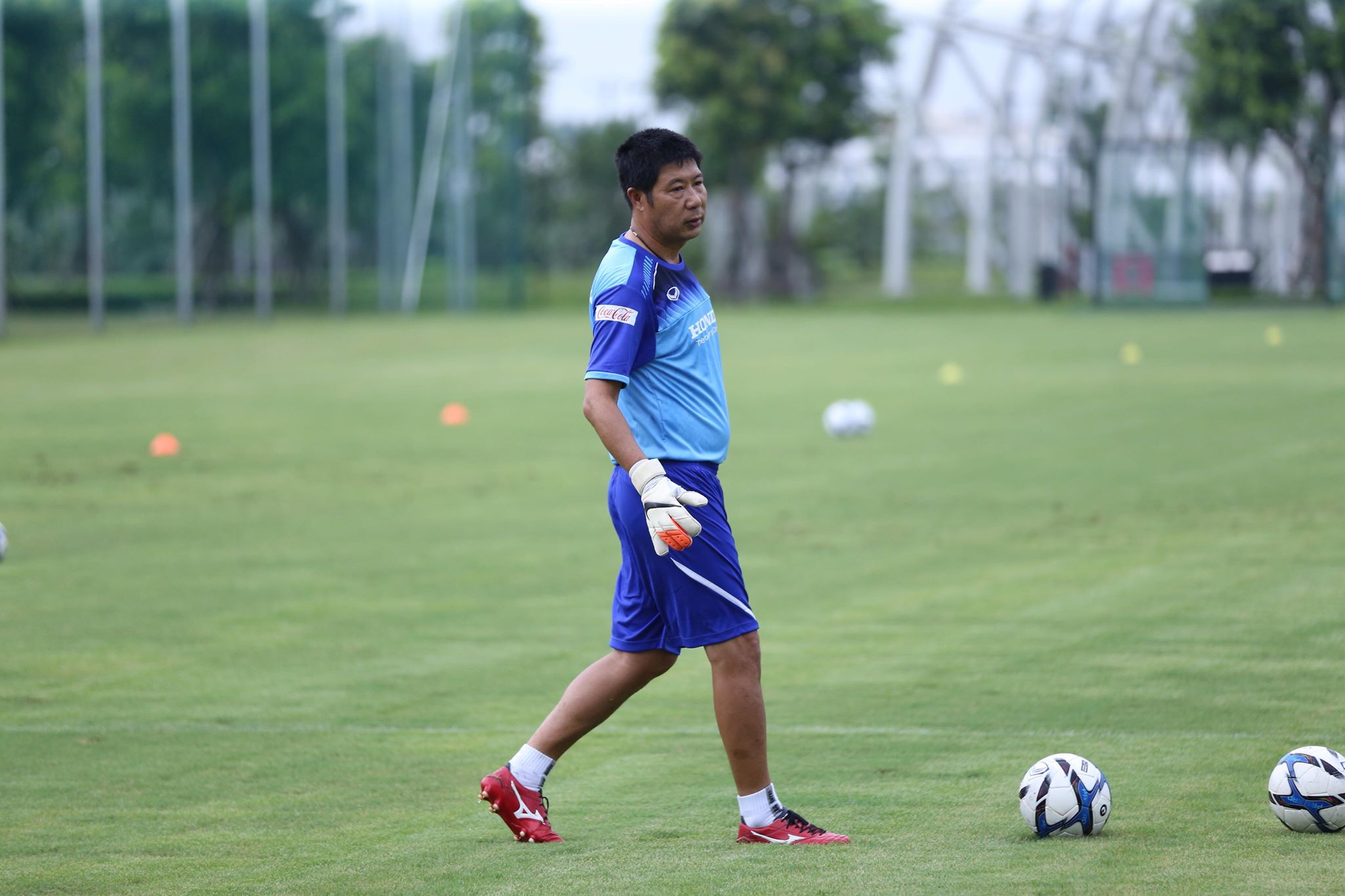 quach ngoc minh 