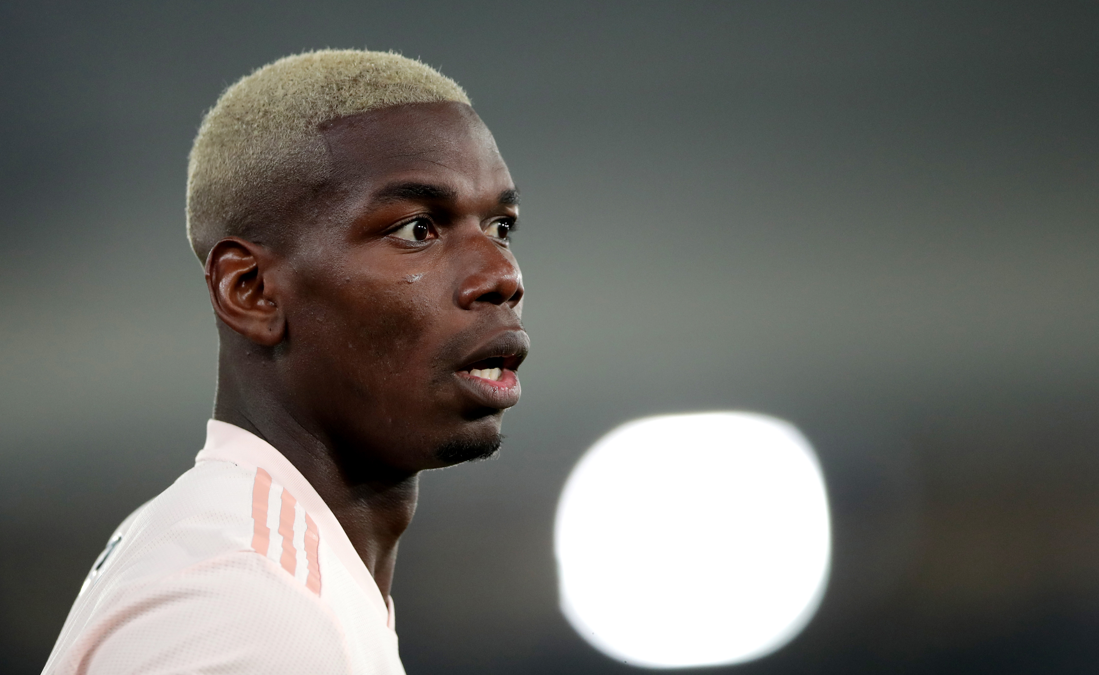 huyền thoại M.U, huyền thoại M.U khen ngợi Pogba, Berbatov khen ngợi Pogba, Euro 2020, đội tuyển Pháp tại Euro 2020