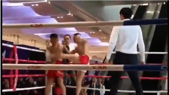 võ sĩ trung quốc, võ sư vịnh xuân, bản sao lý tiểu long, từ hiểu đông, mma