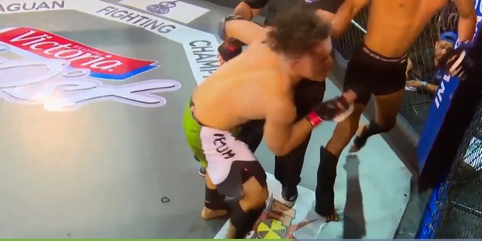 video mma, video võ thuật, video boxing
