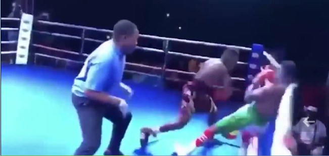 video mma, video võ thuật, video boxing
