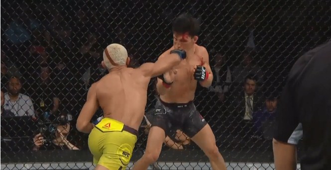 video mma, video võ thuật, video boxing