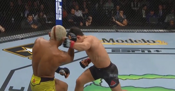 video mma, video võ thuật, video boxing
