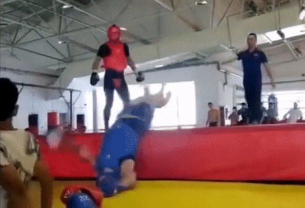 video mma, video võ thuật, video boxing