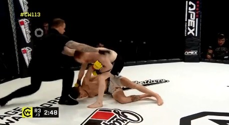 video mma, video võ thuật, video boxing