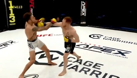video mma, video võ thuật, video boxing
