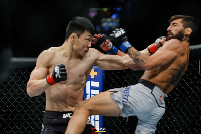 video mma, video võ thuật, video boxing