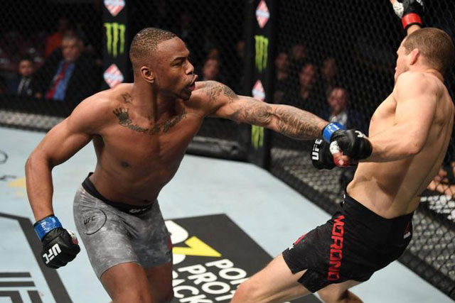 video mma, video võ thuật, video boxing