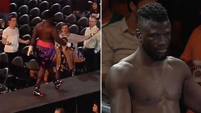 video mma, video võ thuật, video boxing