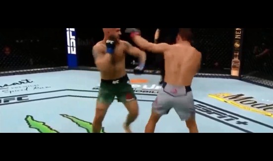 video mma, video võ thuật, video boxing