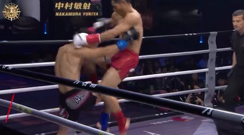 võ thuật, mma, tán thủ, kickboxing, Ngụy Nhuệ, võ sĩ Trung Quốc