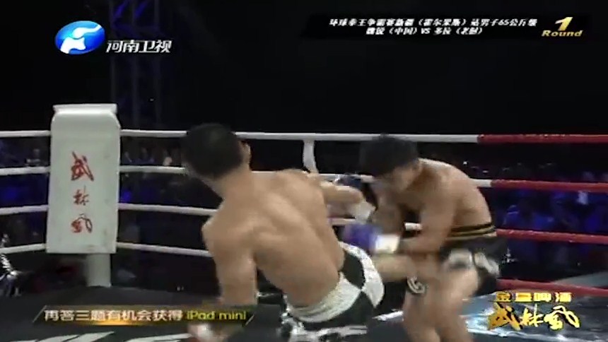 video mma, video võ thuật, video boxing