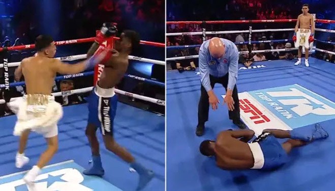 video mma, video võ thuật, video boxing