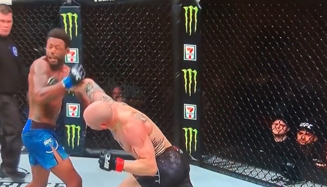 video võ thuật, video mma, video kickboxing