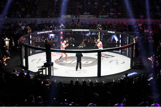 ONE Champioship, MMA, võ thuật