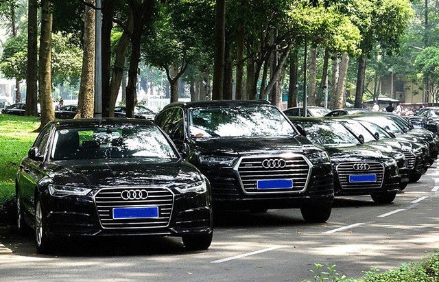 Ở phân khúc xe sang, tạm thời không có sự xáo động khi BMW được Thaco mở tờ khai trong năm 2017, Audi có lô xe APEC khoảng 400 chiếc và Mercedes-Benz vẫn tự chủ với các dòng xe lắp ráp trong nước. Riêng có Lexus, Infiniti vẫn duy trì các số lượng xe có từ trong năm.