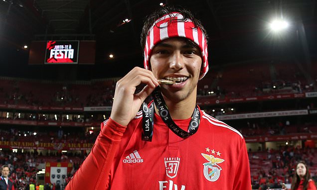 chuyển nhượng mu, mu, man utd, man united, benfica, joao felix