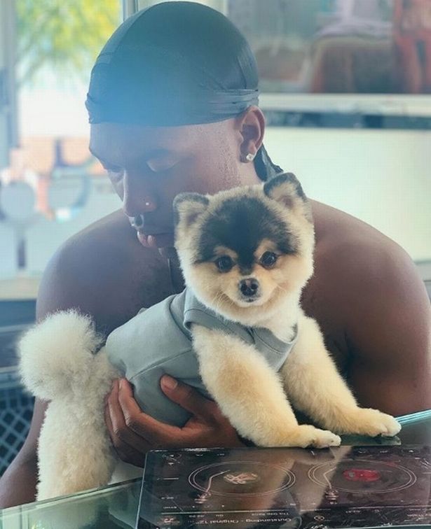 Daniel Sturridge, sao liverpool, Daniel Sturridge dog, Sturridge, Sturridge liverpool, liverpool, c1, chó