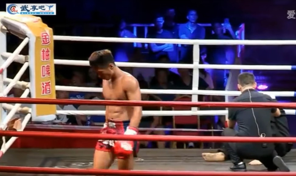 Võ thuật, võ thuật Trung Quốc, võ sĩ, MMA