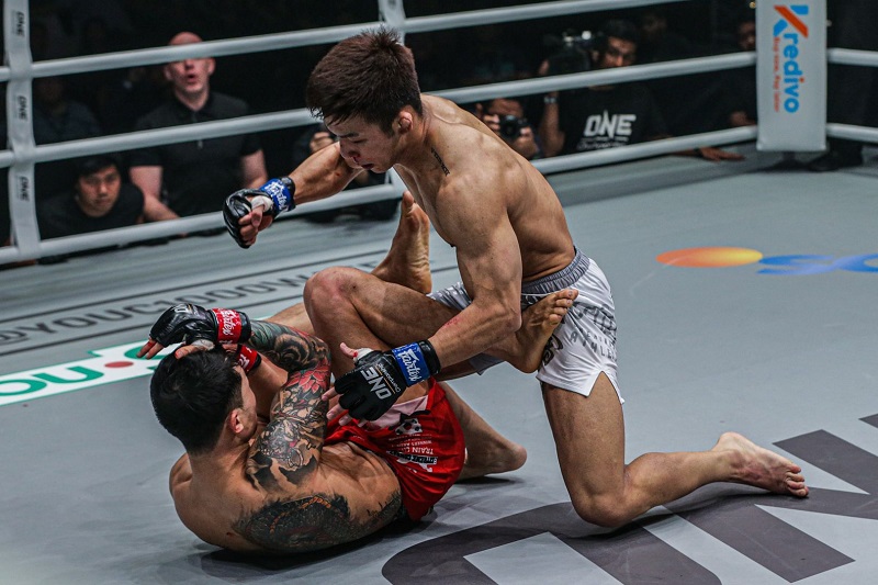 Võ thuật, võ sĩ, MMA, Martin Nguyễn, Việt Nam, ONE Championship