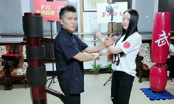 Võ thuật, võ thuật Trung Quốc, Diệp Vấn