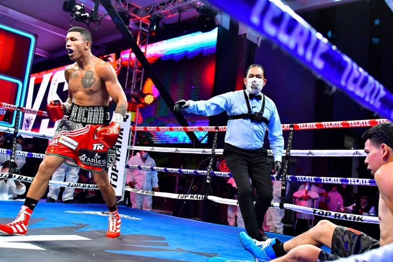 Võ thuật, quyền anh, võ sĩ quyền anh, knock-out
