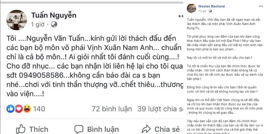 Võ thuật, Việt Nam, Vịnh Xuân, Vịnh Xuân Nam Anh, nhà vô địch SEA Games, Tán thủ