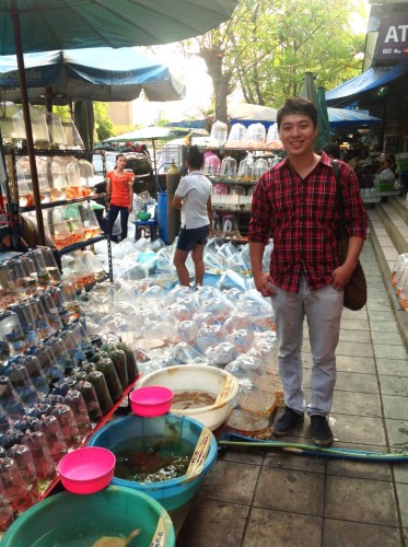 Ông Trần Thế Vinh - thành viên BTC
