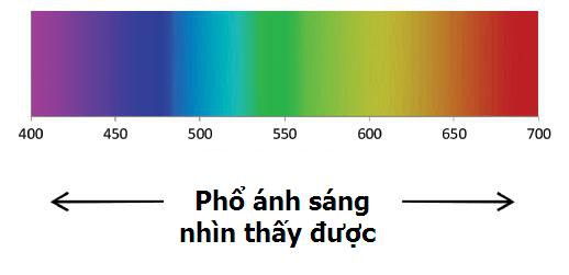 Vì sao đèn xi nhan ô tô, xe máy lại có màu vàng?