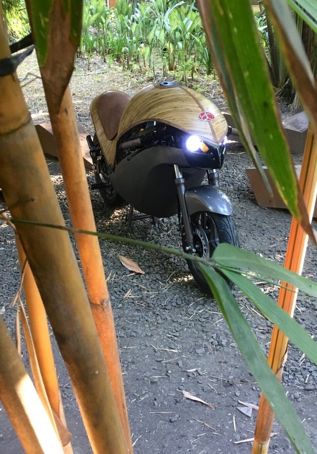 moto chạy điện được làm bằng tre,  Green Falcon, moto chạy điện