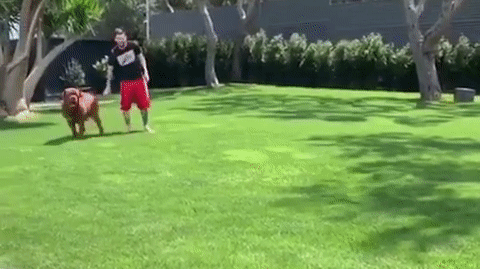 VIDEO: Messi và hai con trai 'đọ trình' đá bóng bằng màn đá ma