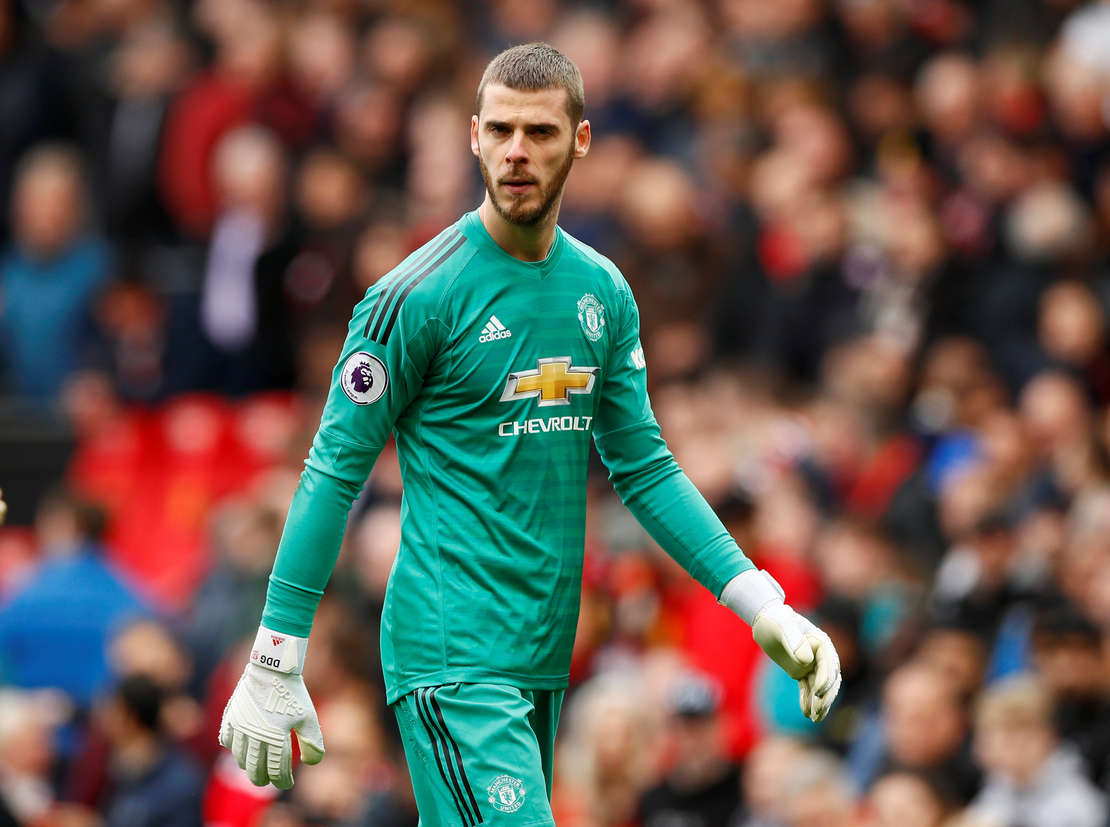 van der sar, de gea, david de gea, MU, Man Utd, Manchester United, mu vs, bong da mu, tin MU, tin Man Utd, tin tức MU, tin Ngoại hạng Anh, Ngoại hạng Anh, chuyển nhượng MU, tin chuyển nhượng MU, chuyen nhuong mu, tin chuyen nhuong mu