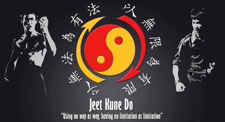 Lý Tiểu Long, võ thuật