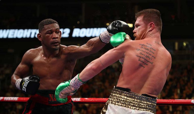 Canelo Alvarez, Lăng Ba Vi Bộ, Võ sĩ