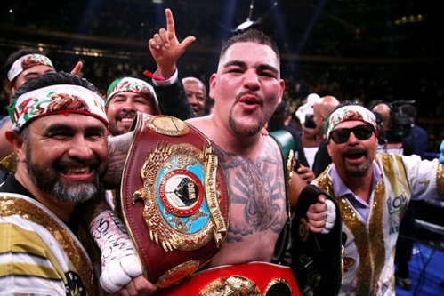 Andy Ruiz Jr, võ thuật, quyền Anh, võ sĩ, Anthony Joshua
